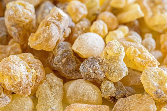 Edible Green Hojari Frankincense